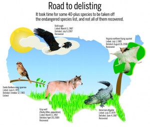 Road to Delisting