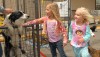 Pet Adoption Event Hopes to Help Dogs Find Good Homes