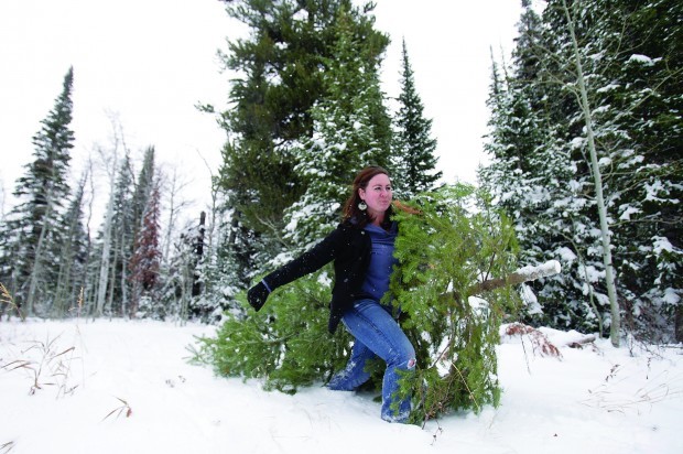 Christmas Tree Permits Go on Sale for Sawtooth National Forest | Southern Idaho Local News ...