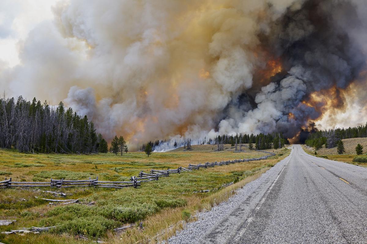 Fire collaboration works to snuff out potential