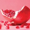 New Book Features Sun Valley Food Photographer's Lush Images  