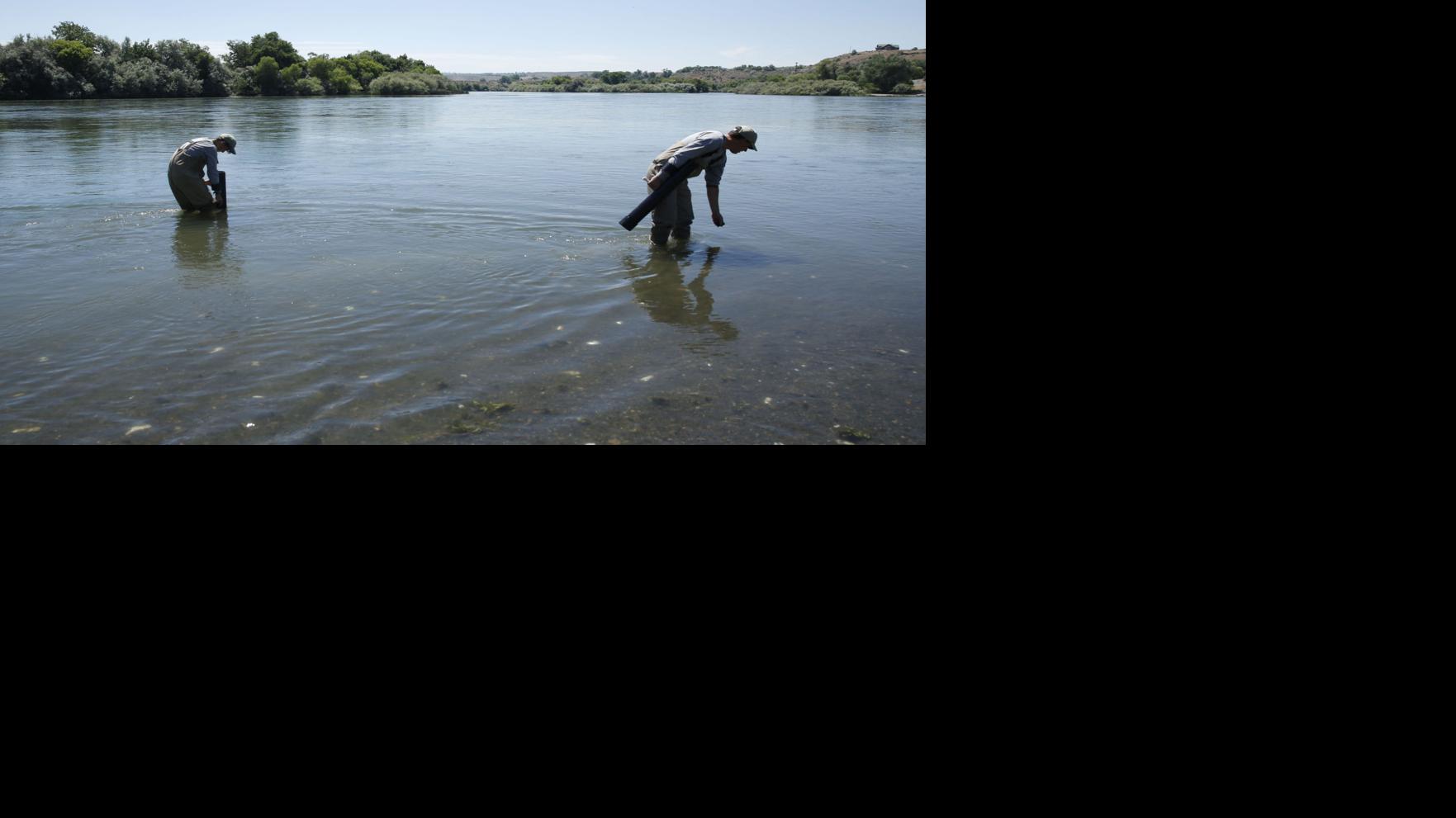 Expert's guide to the Hagerman reach part 1 Southern Idaho Local