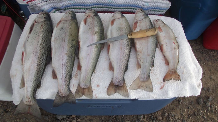 BLOG Fishing at Salmon Falls Creek Reservoir Gets Hot