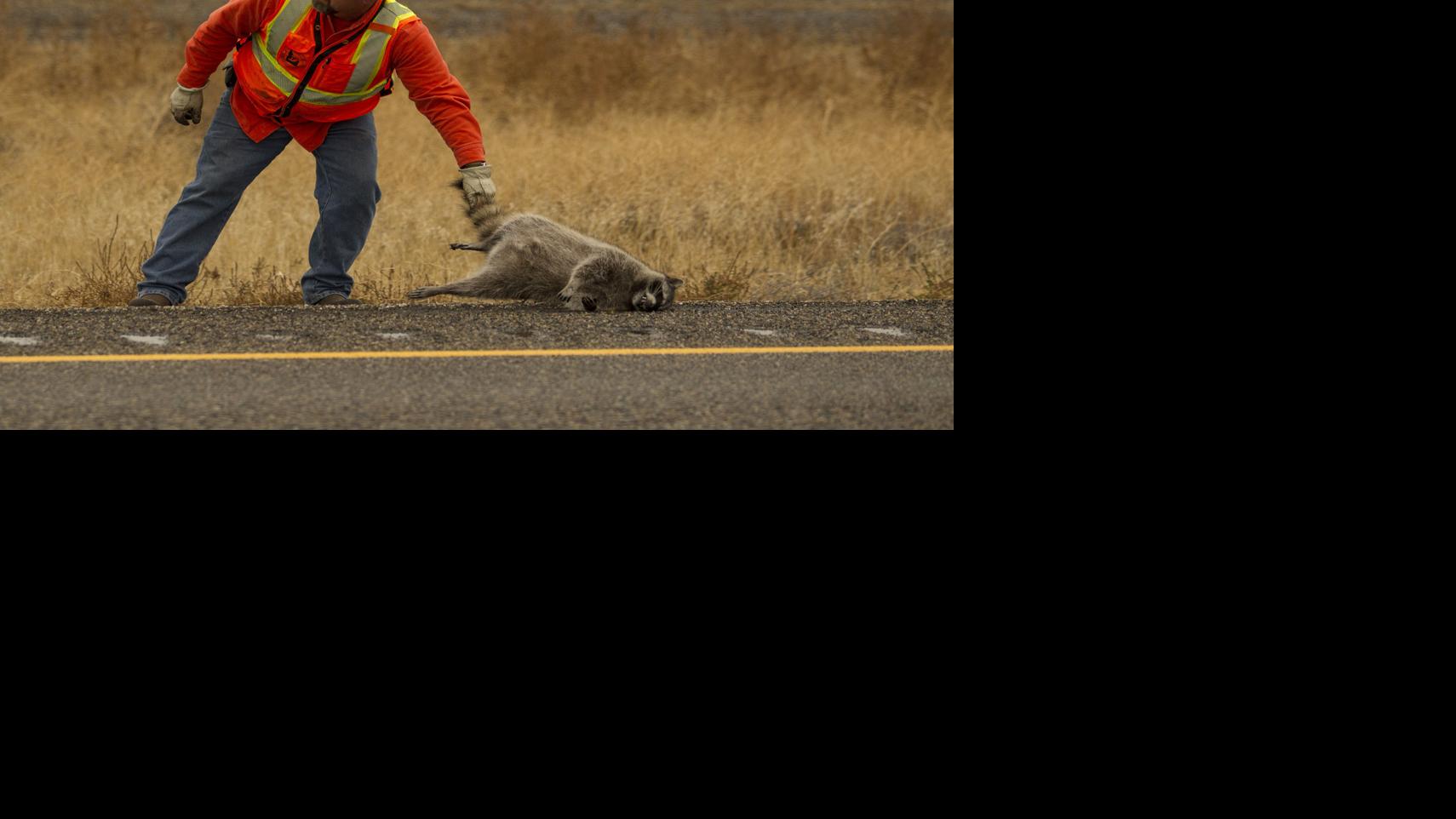 Somebody's got to do it: 6 nasty, dirty or difficult jobs - Twin Falls Times-News