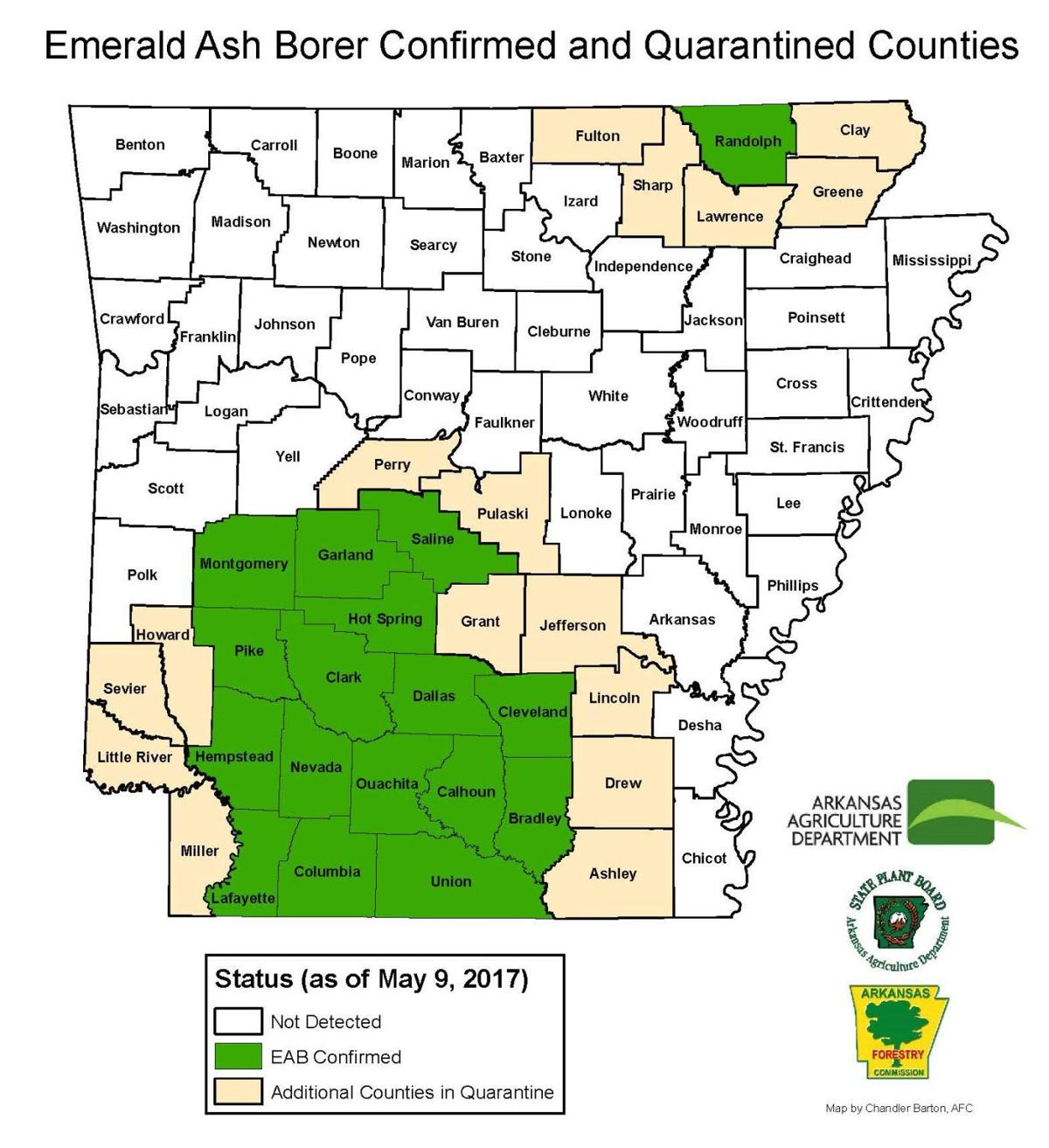 Three more Arkansas counties under emerald ash borer quarantine