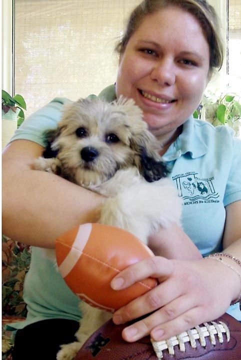 <b>Julie Kroon</b> is shown here with Sophie, the Shih tzu-Bischon mix puppy she ... - 5405af31709aa.image