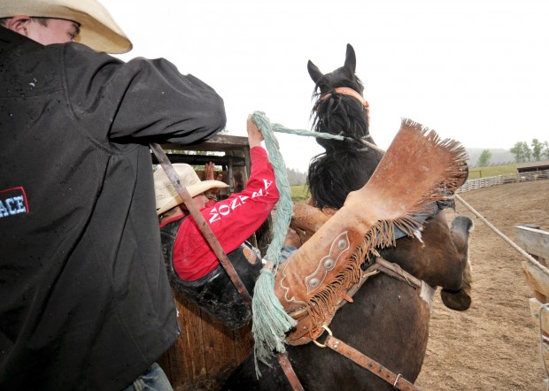 Saddle bronc rivals have a buddy system
