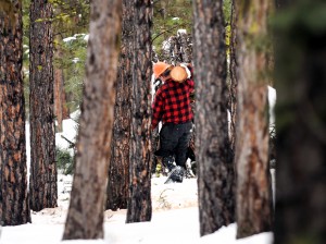Blackfoot project reduces fuel for forest fires near subdivision