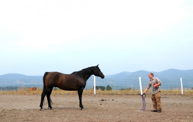 clicking with canner