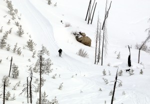 Image Result For Montana Snowmobile Trail Image Result For Montana Snowmobile Trail