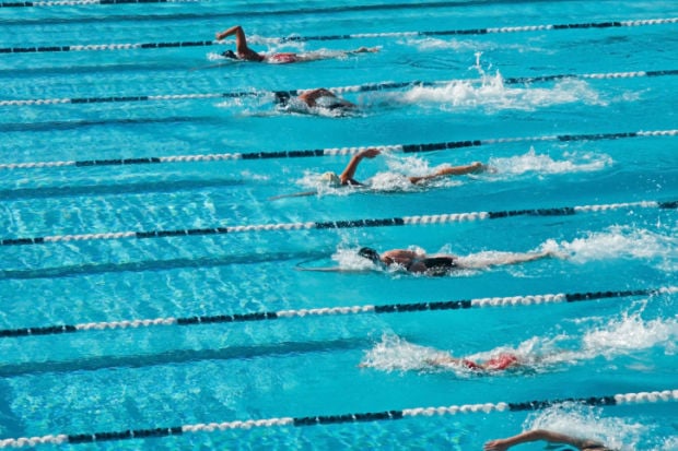 competitive swimming stockimage