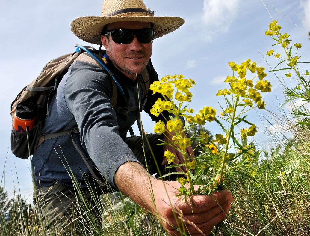 051915 jumbo weeds1 mg.jpg