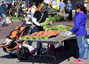 Food Stamps Kalispell Mt Food Stamps Kalispell Mt