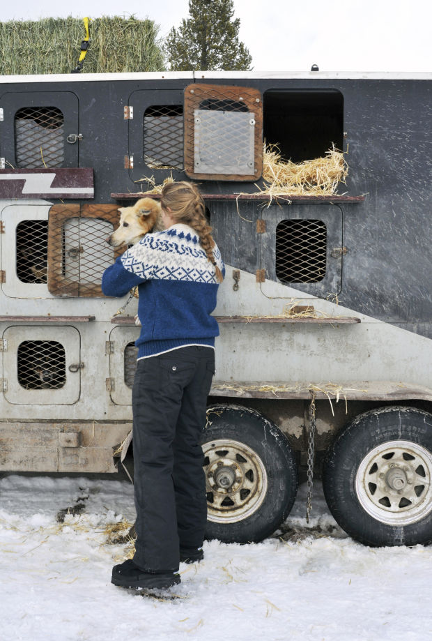 Sled dog teams continue trek in second leg of 350-mile Race to the Sky