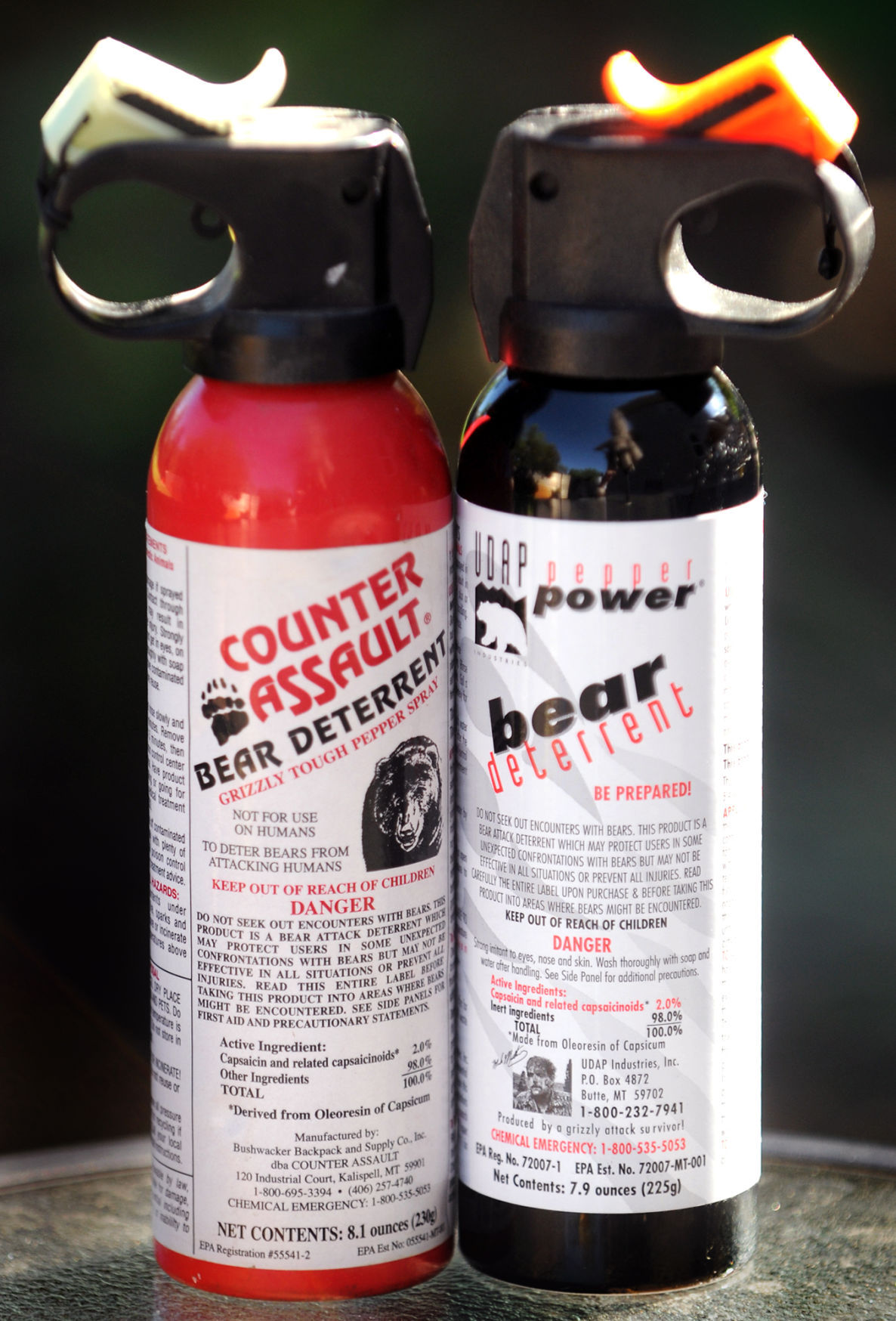 Bozeman couple escapes charging grizzly by using pepper spray State and Regional