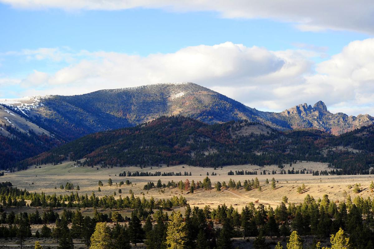 Wilderness Walks Guided Outings Around Helena Lincoln News tirisi