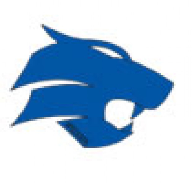 Durant softball explodes late over Wilton Sports