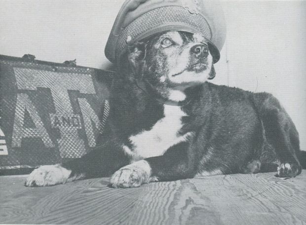 Reveille I
