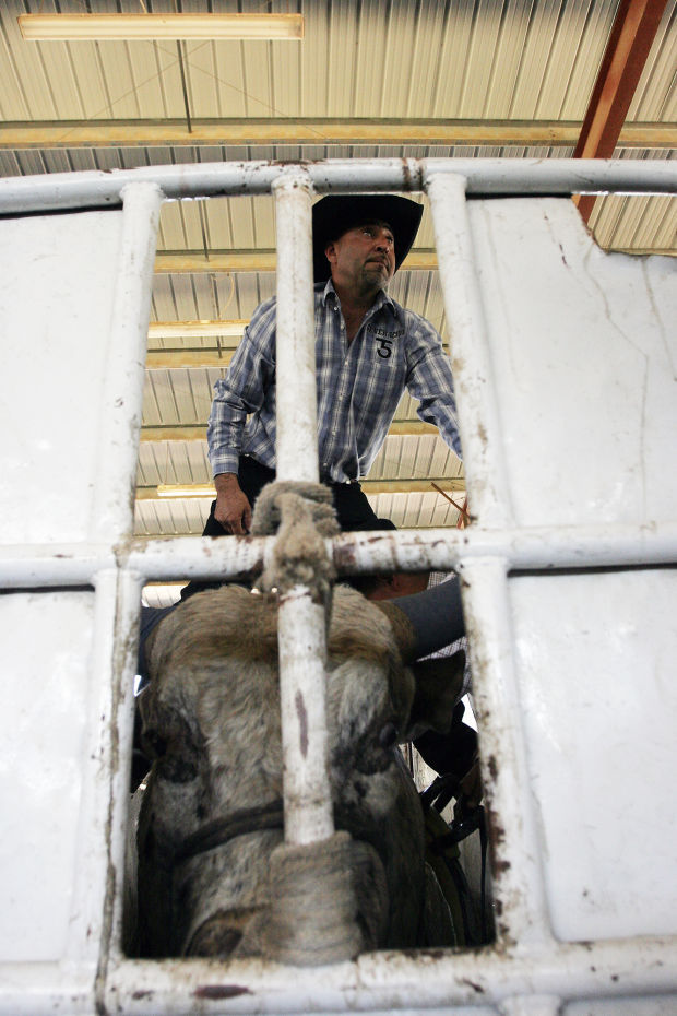 Bull riding and Mexican fiesta main event in Calistoga