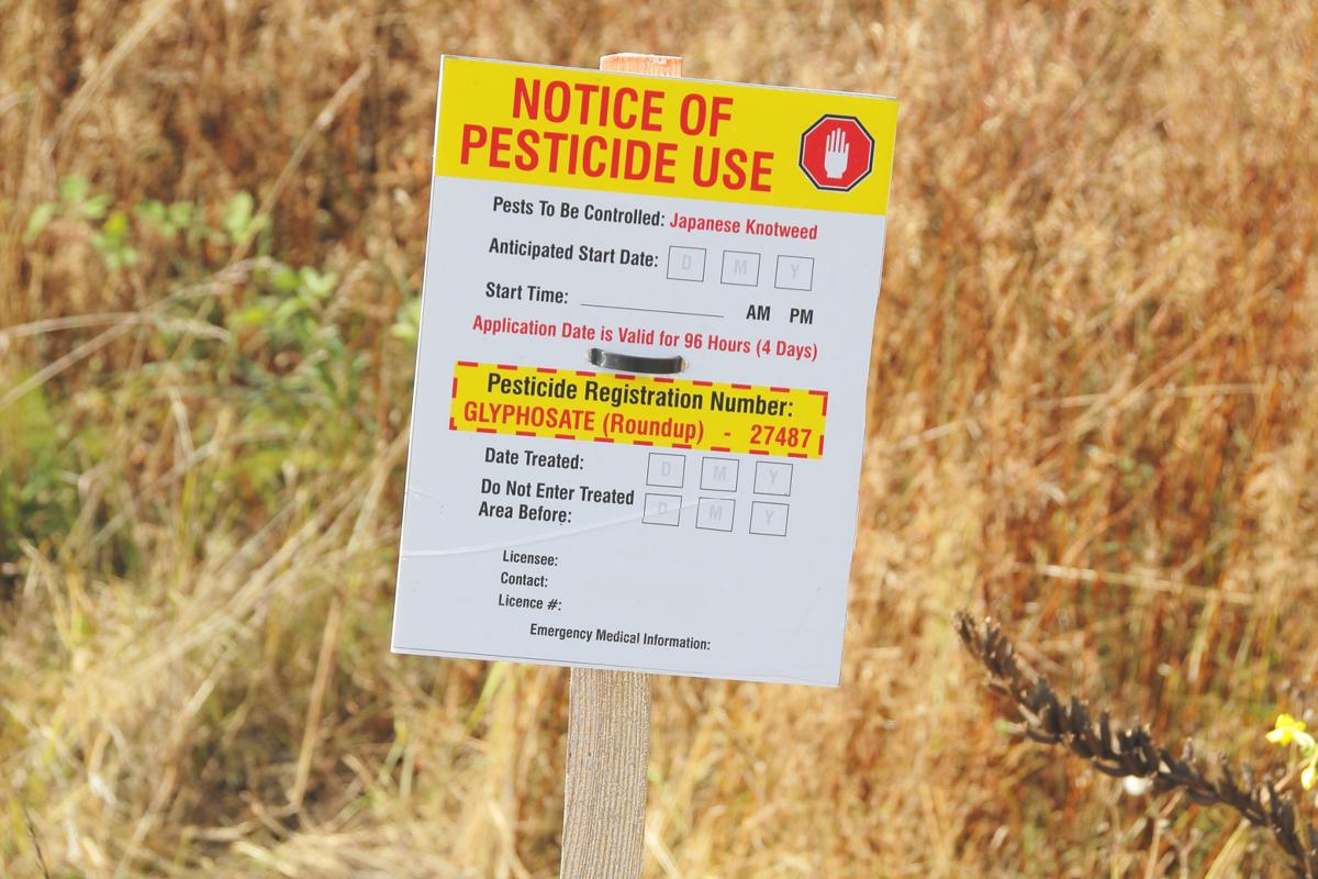Roundup