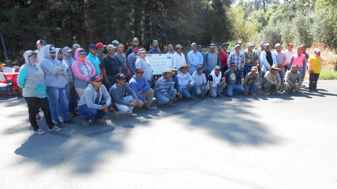 Colinas Farming Company wins green challenge award - Napa Valley Register