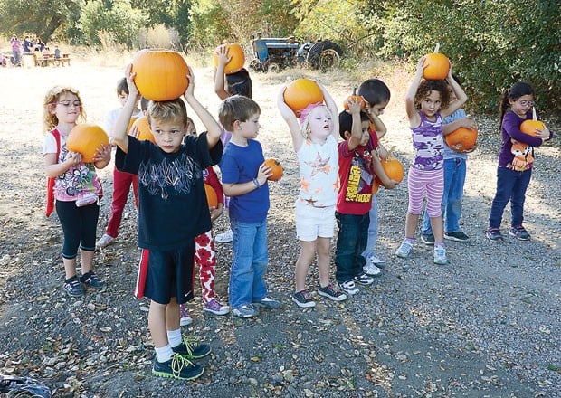 Pumpkin Patch Kids