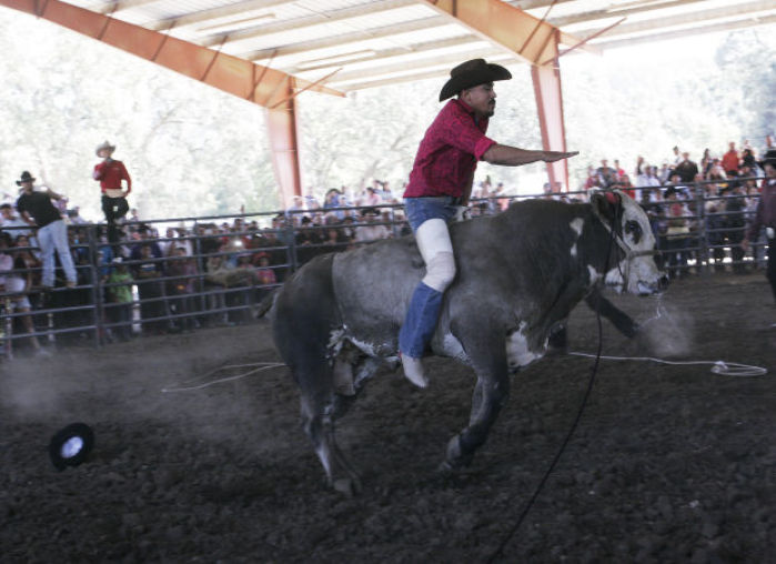 Bull riding and Mexican fiesta main event in Calistoga The