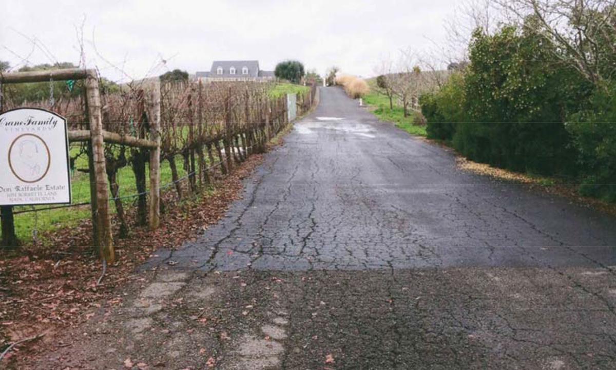 Put cellars hedges option Put option hedges cellars