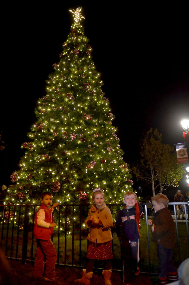 napa sets holiday season alight with tree lighting napa sets holiday season alight with tree lighting