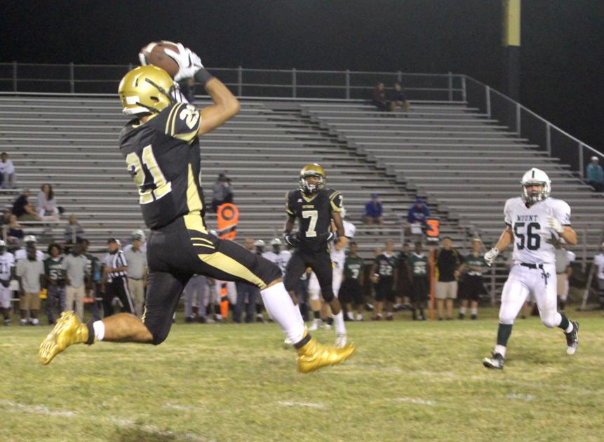 Newark defeats Mount Pleasant - Newark Post