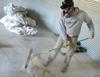 <p>Devin Hillyard wear a respirator mask while cleaning a grain bin at a farm near Cache Junction on Oct. 3. (Eli Lucero/Herald Journal)</p>