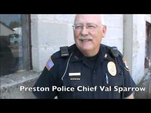 Moose on the Loose in Preston