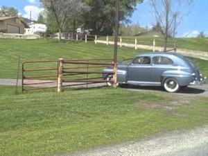 Sardine Canyon Cruise