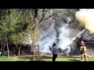 Cottonwood Tree Fluff Fire