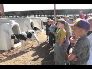 Farm Field Days