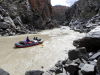 <p>Photos by Eric J. Newell</p><p>Brian Murdock approaches Sock-it-to-me Rapid in Westwater Canyon. The Magnetic Wall is left of the blue rafts; rafts secured at Upper Cougar Camp; a great blue heron lurks along the banks of the Colorado River.</p>