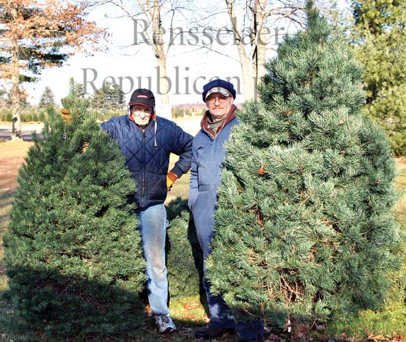 o christmas trees rensselaer republican newsbug info o christmas trees rensselaer republican newsbug info