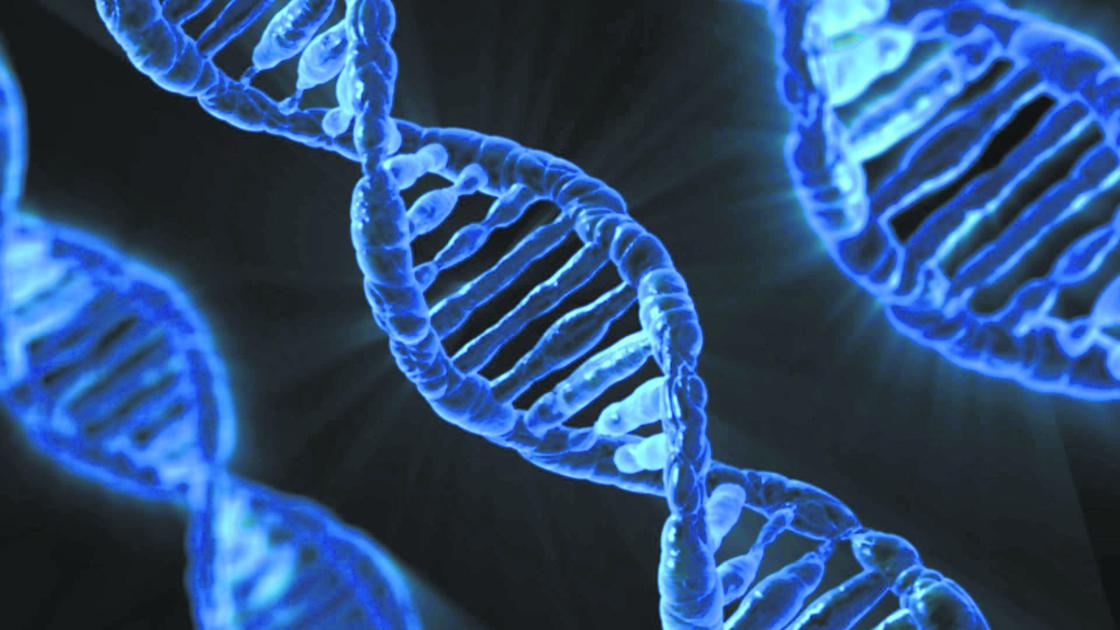 norman lear genealogy learn about dna as a tool for genealogy research norman norman lear genealogy learn about dna as a tool for genealogy research norman