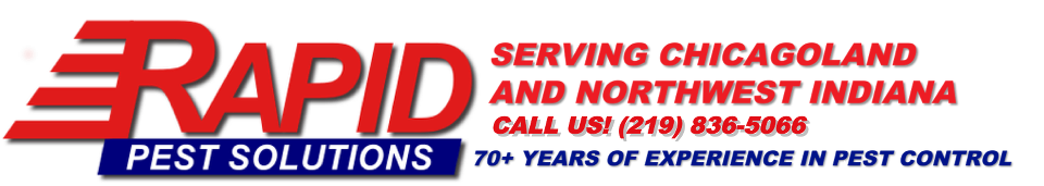 Pronto Loans Rapid Auto Loans Login