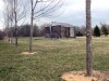 Linden log cabin looking for a home