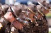 Porter County Sheriff Memorial Service