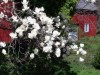 Nature abounds at doorstep to the dunes