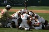 Andrean captures its second baseball state championship 