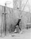 Homer Drew A Life in Basketball -- Small college sent a coach on his way  