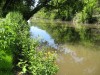 Deer Trail Park