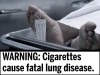 Graphic images to cover cigarette packages soon
