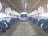 Fair Oaks Farms educates and entertains visitors