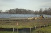 Installation of 6,800 solar panels is nearly complete
