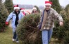 Christmas tree farms offer holiday spirit, tradition