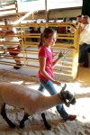 4-H'ers 'sold' on fair